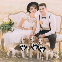ADOGGYGO adjustable bowtie collar adapts to your dog's neck for total comfort.