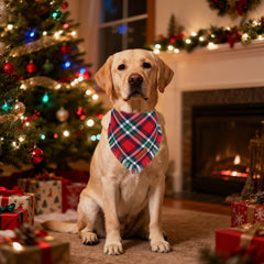 ADOGGYGO Christmas green plaid tassel bandana adds holiday charm on walks