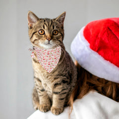 ADOGGYGO christmas bandana collar bell feature enhances cat tracking