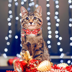 ADOGGYGO green deer pattern collar adds festive charm while keeping cats comfortable.