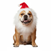 ADOGGYGO Christmas dog Santa costume on dog for festive photos.