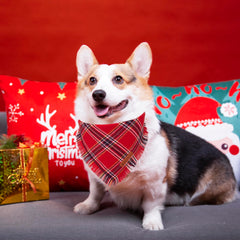ADOGGYGO green plaid dog bandana on a medium-large dog for stylish seasonal wear.
