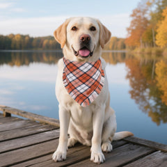 ADOGGYGO large-size bandana provides comfortable all-day wear during outings.