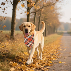 ADOGGYGO fall bandana double-layer cotton, soft on fur for daily wear
