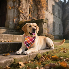 ADOGGYGO fall bandana pack highlights two-pack value for seasonal styling