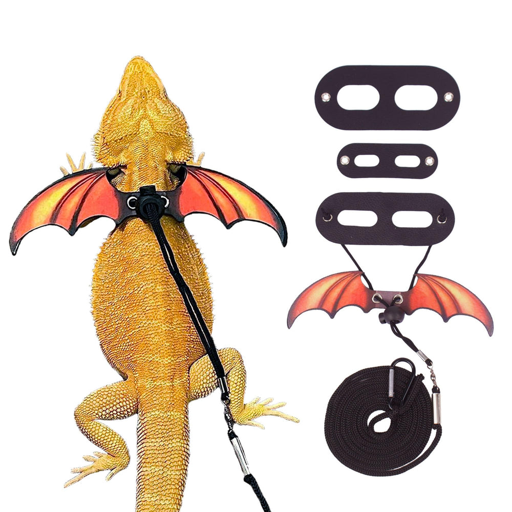 ADOGGYGO orange wing harness on a bearded dragon for colorful outdoor sessions.