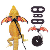 ADOGGYGO orange wing harness on a bearded dragon for colorful outdoor sessions.