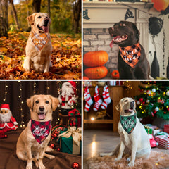 ADOGGYGO plaid holiday dog bandana Thanksgiving adds cozy seasonal charm