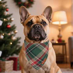 ADOGGYGO premium cotton bandana close-up shows soft breathable fabric
