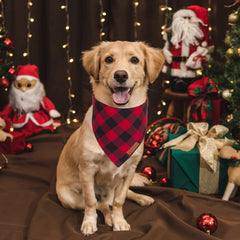 ADOGGYGO red plaid fabric closeup showing soft cotton texture for comfort