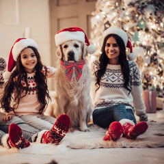 ADOGGYGO soft cotton collar provides gentle daily comfort for dogs