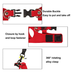 ADOGGYGO three-size-pack red harness helps growing beardies fit securely.