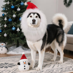ADOGGYGO white beard wig provides playful festive look during family gatherings.
