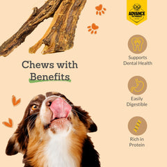 Advance Pet Products Gullet Flat Jerky gluten-free label visible on pack