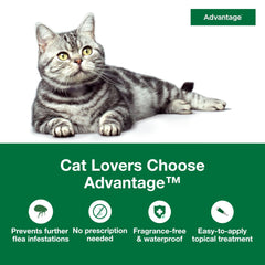Advantage waterproof drops on cat coat illustrate durable protection after baths.