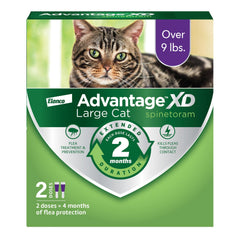 Advantage XD packaging for large-cat flea treatment showing easy at-home use.