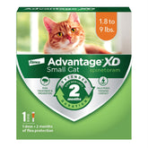 Advantage XD neck-spot-on application on a small cat, easy to use.