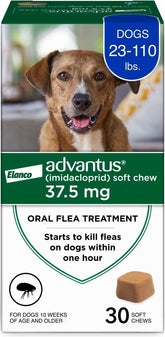 Advantus dog fast-acting flea chews packaging for quick relief.