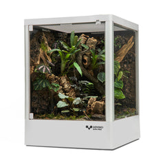 ADVINCI Reptile Glass Terrarium front view showcases clear visibility for observing geckos