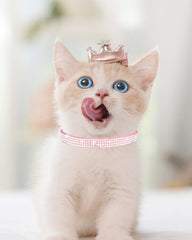 Aecllcea cat collar pink bell highlights movement with crisp jingles for monitoring