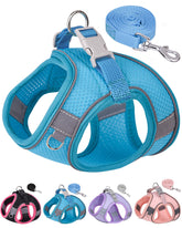 Aecllcea step-in harness blue enables easy on off for small dogs.