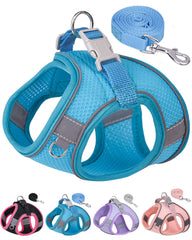 Aecllcea step-in harness blue enables easy on off for small dogs.