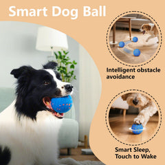 Affiuya Interactive Dog Ball duraspin-design emphasizes durability for aggressive chewers during daily play.