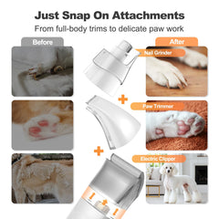 Afloia wireless clipper enables trimming around moving pets.