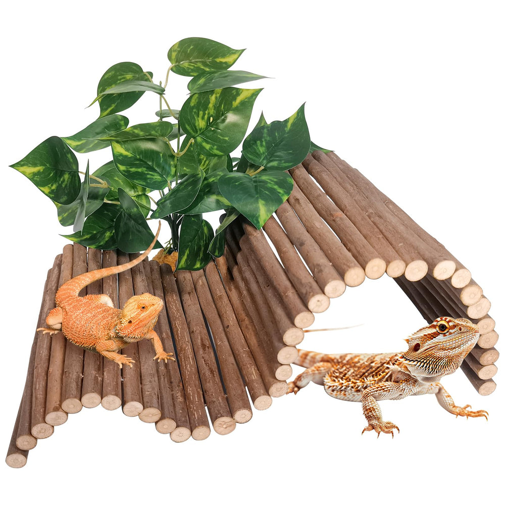 AGGQQA reptile hide wooden bridge shown in terrarium for enrichment