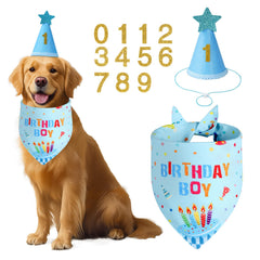 Agroon dog birthday hat blue bling on a pup, ideal for festive photos.