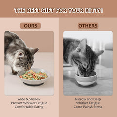 AHX cat bowls with non-slip pads stay put during feeding