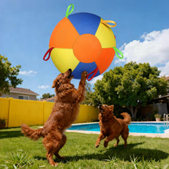 AIERSA Herding Ball with handles for easy fetch and retrieval