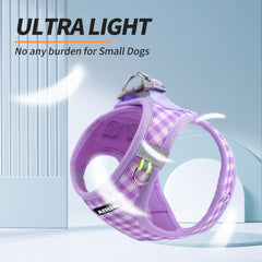 Aiitle harness dual-d-rings provide versatile leash connections for secure hiking adventures
