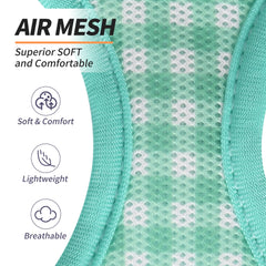 AIITLE leash paired with turquoise harness for easy everyday walks.