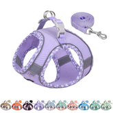 Aiitle Tiny Dog Harness XXXS front view shows lightweight comfort for tiny breeds