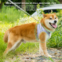 Aiitle Tiny Dog Harness XXXS leash-set enables confident outdoor strolls