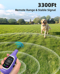 AIKEEP 2-in-1 collar with backlit LED display for easy low-light use.