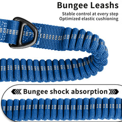 Airuidog double-handled leash offering extra control on busy streets
