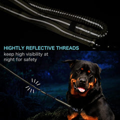 Airuidog two-handle leash offers versatile control in crowded areas