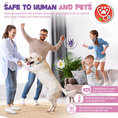 Aiwojiujiu dog calming collar worn on neck during everyday activities