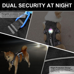 AKAILEA back D-ring detail for strong leash attachment.