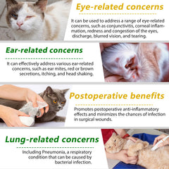 Akareni cat antibiotics liquid pouring scene showing ease of use with meals.