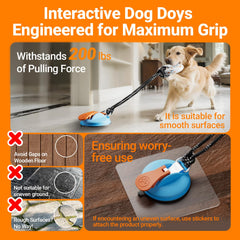 Aktor E-TPU Dog Balls deliver high bounce for interactive fetch