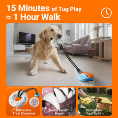 Aktor E-TPU Dog Balls float in water for pool or beach play