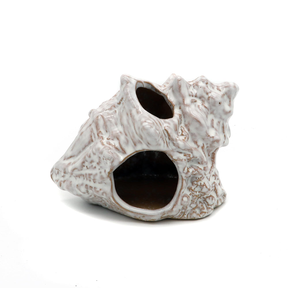 ALEGI aquarium cave ceramic sea shell closeup highlights natural shelter for small fish.