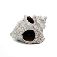 ALEGI aquarium cave ceramic sea shell closeup highlights natural shelter for small fish.