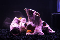ALEGI ceramic aquarium toy cleans easily and resists fading over time