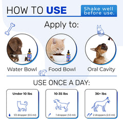 Alfa Love Pets kennel cough for cats and dogs in daily routine.