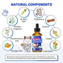 Alfa Love Pets kennel cough dog supplement in use for daily care.