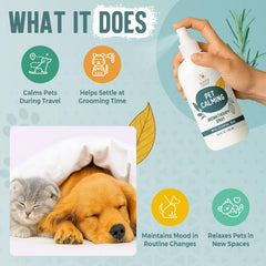 ALFIE'S CHOICE lavender flowers highlight soothing scent for relaxation rituals.